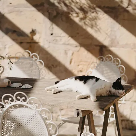 N A K E D S O L Apartment Manacor (Mallorca)